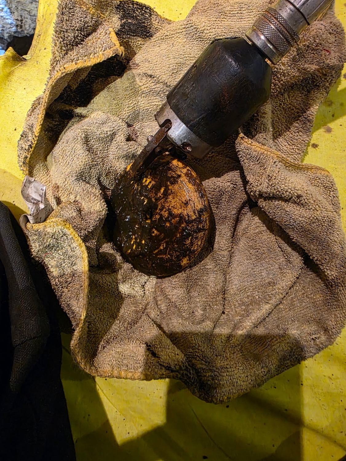 A grease and root ball pulled out on the end of a drain machine