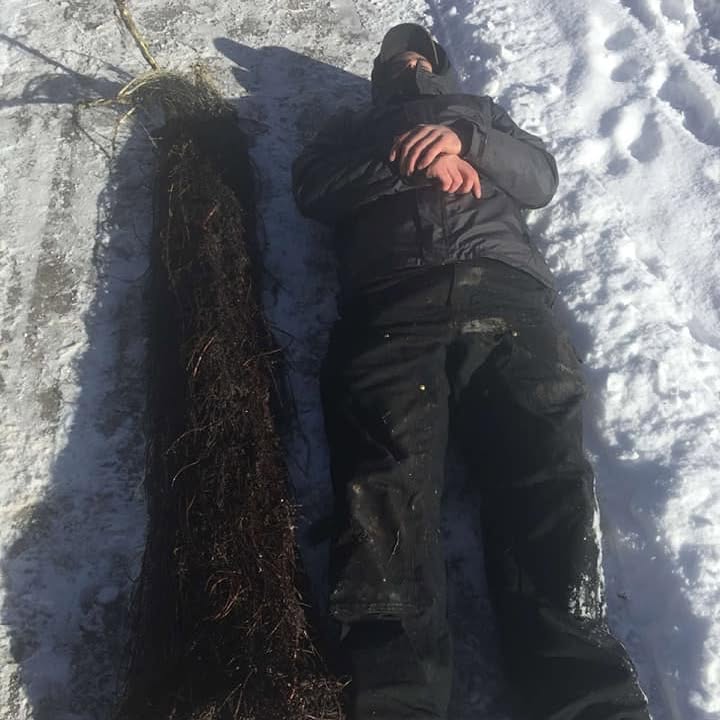 Tree root mass removed from a sewer line, as long as a person